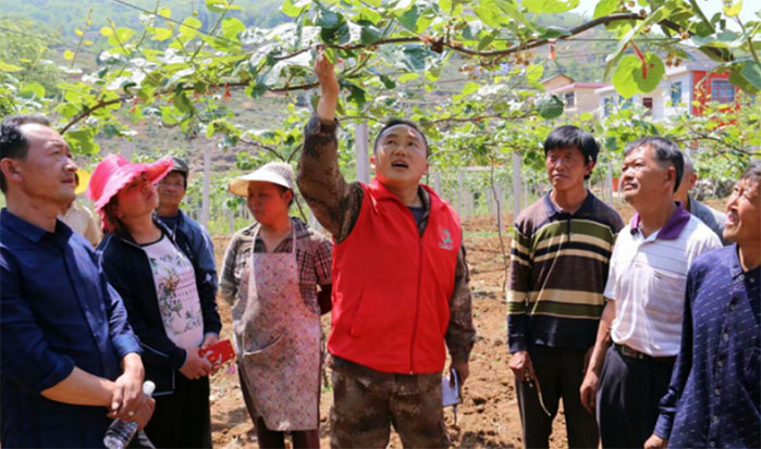 ����־Ը���ս��v���������Ļؑ�