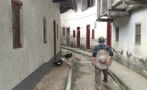 �@�����죬��Ҋ�������X