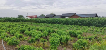 �ƕԶ����_�����`�F�ɆT�������L����Nֲ��I��̽�L�l�����d�ĬF���ǰ��