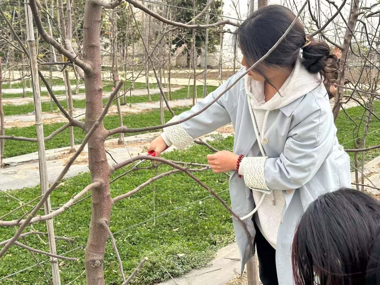 ���ƈ̼����ֹ�����ˮ��֦�L�\�D