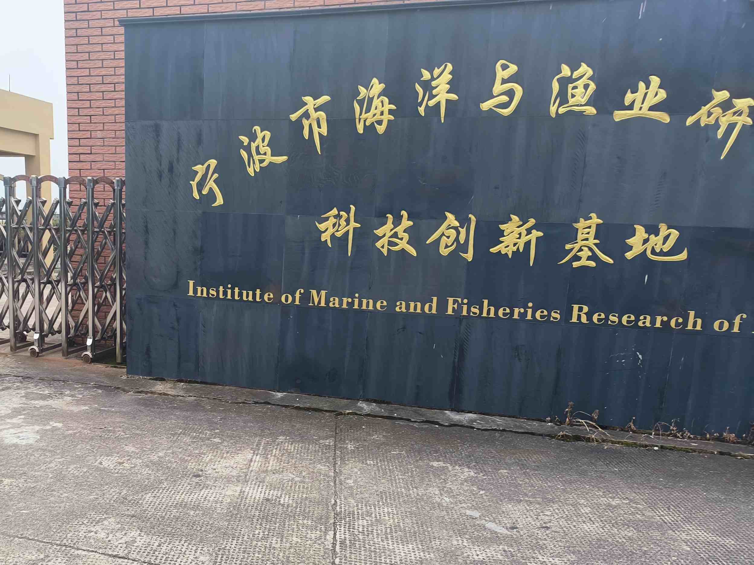 �������d���ݞ����s������ɽ�ݞ��B(y��ng)ֳ��ƪ�����L�l(xi��ng)�����d�{�D