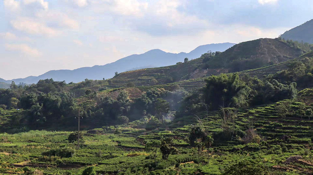 ��ζ��裬��·�t��