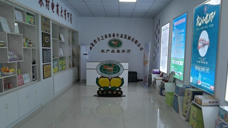 �߽������S�ң�̽����I���a