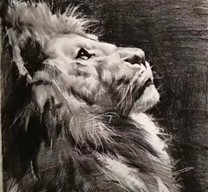 �L���@�֌��I���l�徰�^�Lò����