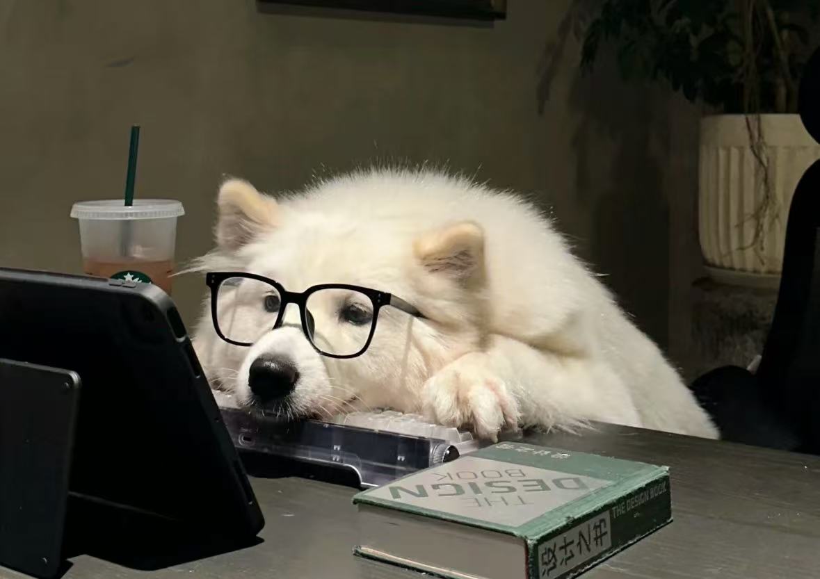 �ԉ����R��֧�����L �����Ϻ���֧�c�������P�Q�L���ֈF֧�̻��