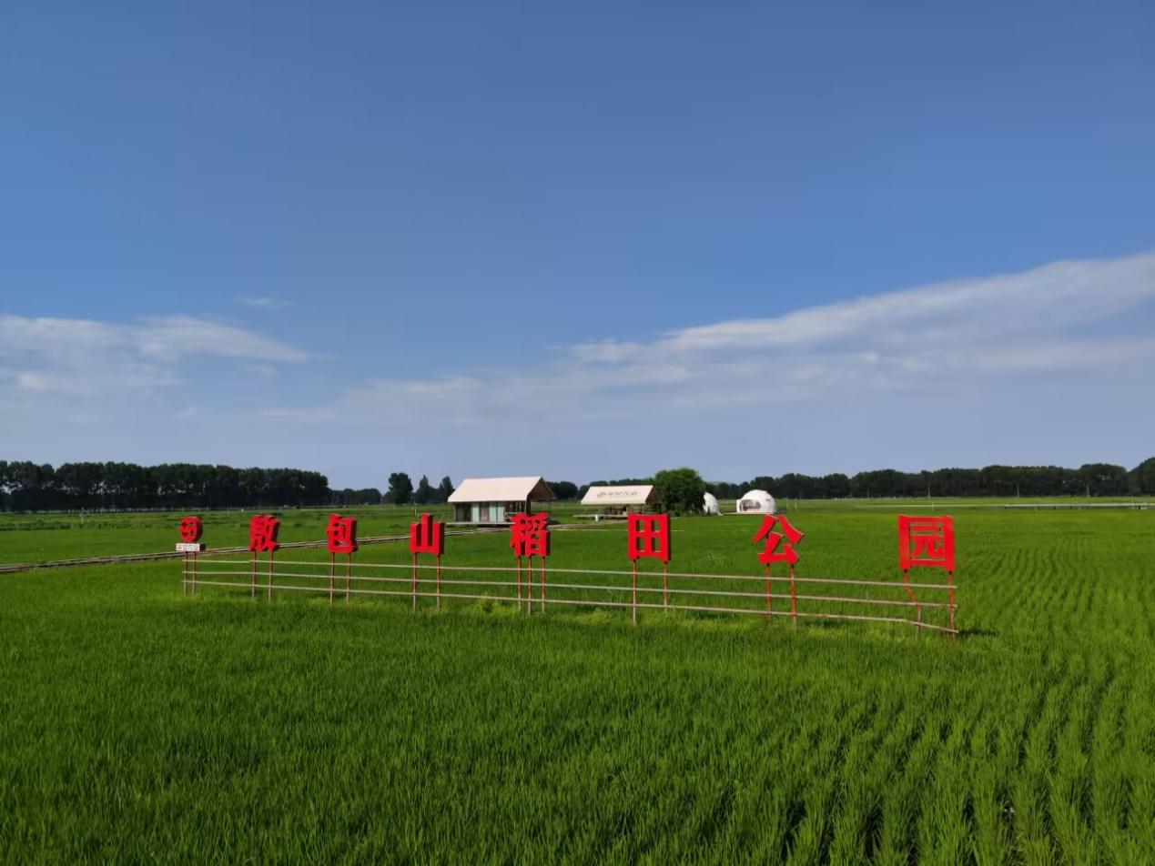 �y�ֹ����Ї�(gu��)��(m��ng)