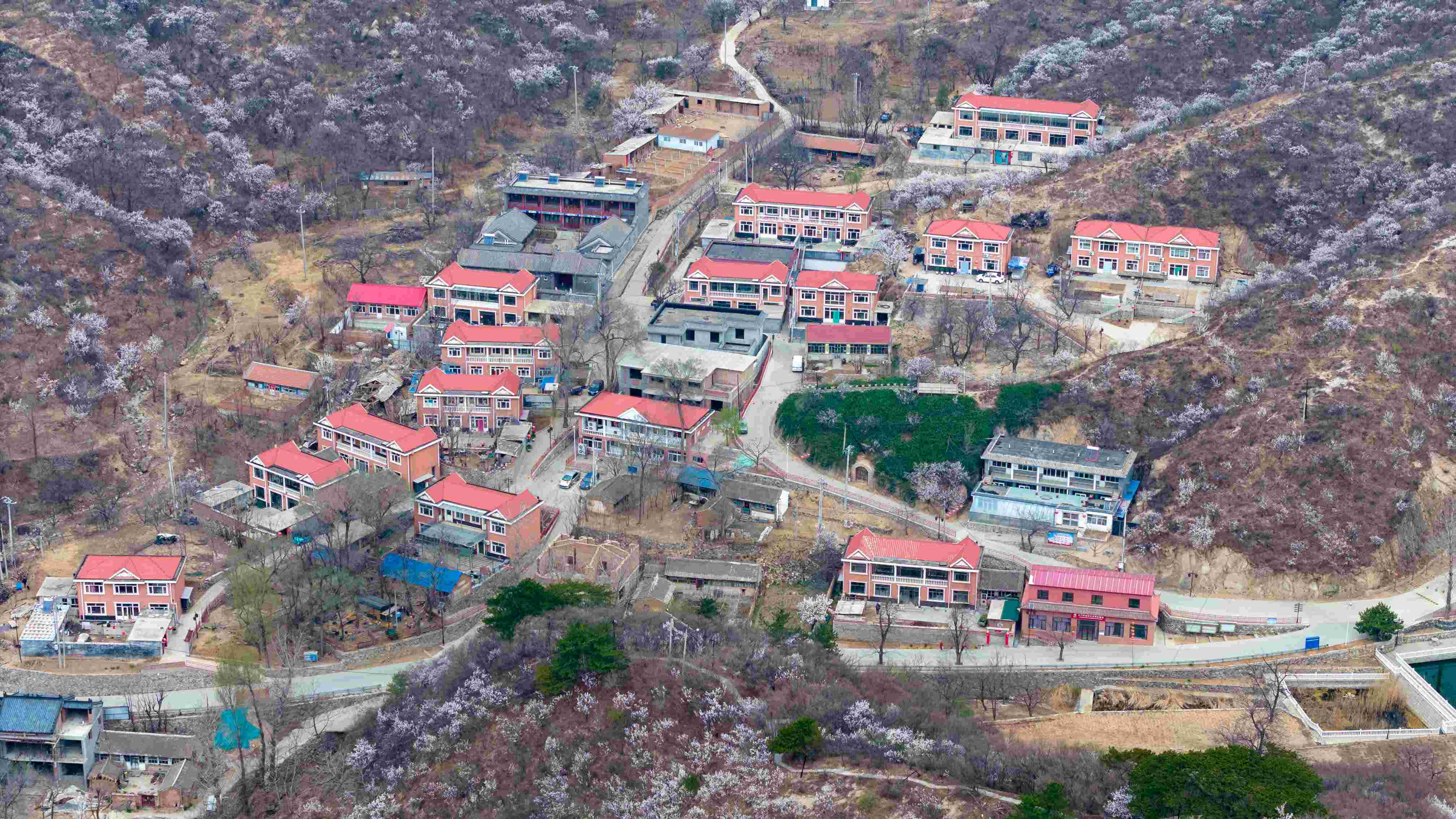 ��ʯ��н���㡱���Fꠣ���ݮa�I���d�l�壬�Ļ������c�lչ����