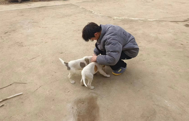 ��������ɫ�� ׌�۲����ˡ�