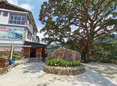 �V���r��֮�裬���㡱�����d�®�����