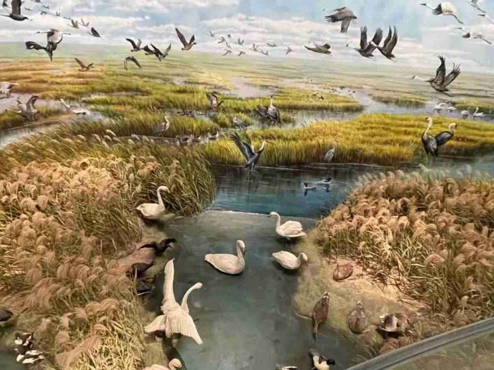 �S���뺣�������l��������