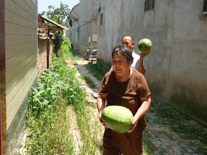 �����l�� ��ů���g