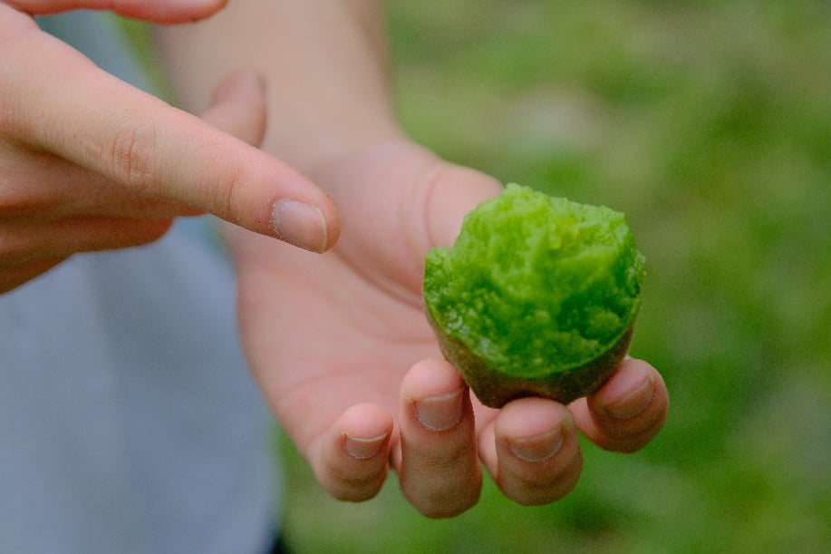 ɽ�|������W(xu��)����С�ࡱ��(sh��)�`�F(tu��n)���^ԴȪ�(zh��n)�J�����ǻۈ@�^(q��)