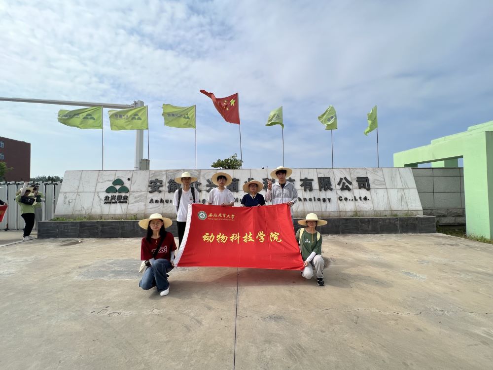 �����d���r(n��ng)�d���������c(di��n)���l(xi��ng)�����d