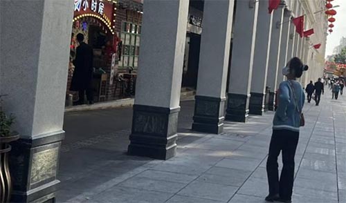 �T�Ǟ��������ŏB�T