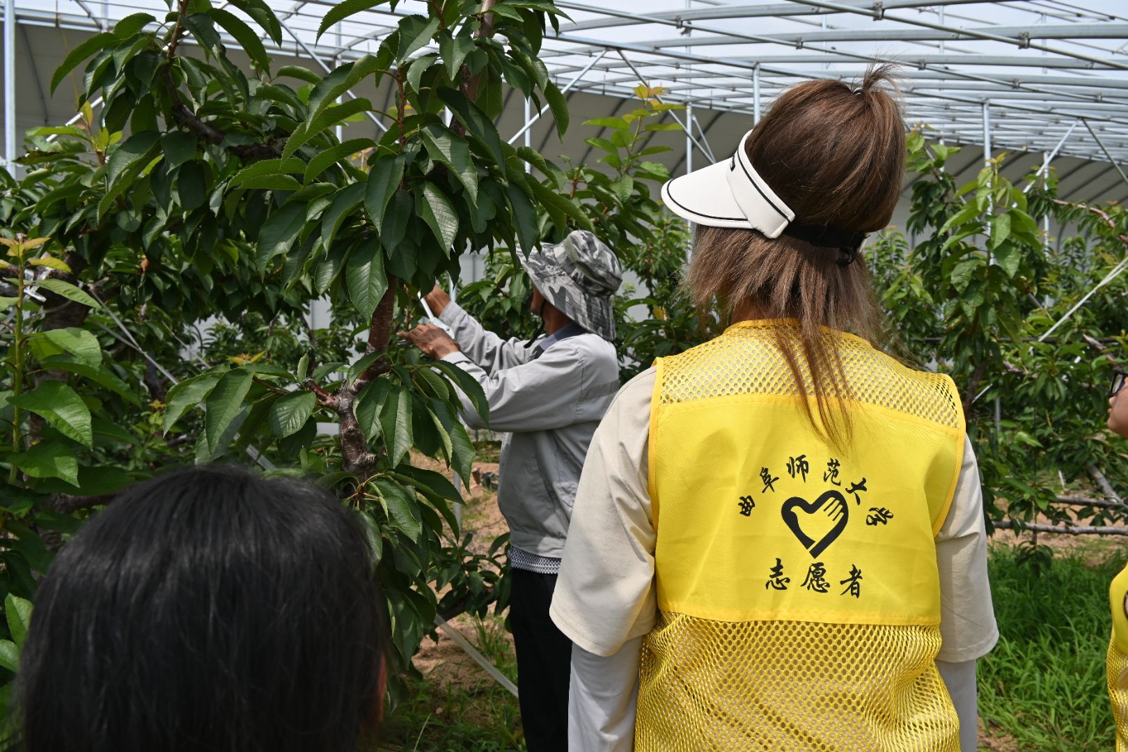 �Ƽ��x���r�I�lչ���ǻ����I�l�����d