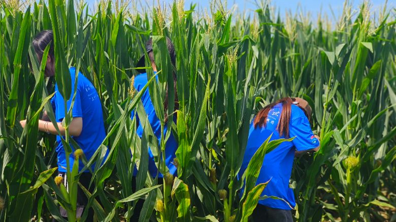 �����ƌW(xu��)�c���̌W(xu��)Ժ��������������(sh��)�`�F(tu��n)�������g��(sh��)���{(di��o)�������L(zh��ng)��(sh��)