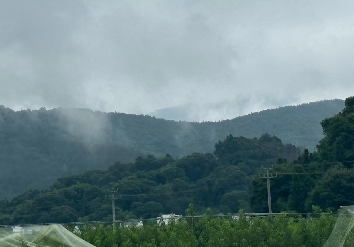 �ഺ֮�С��۹⡱-----�����ա�������(hu��)��(sh��)�`