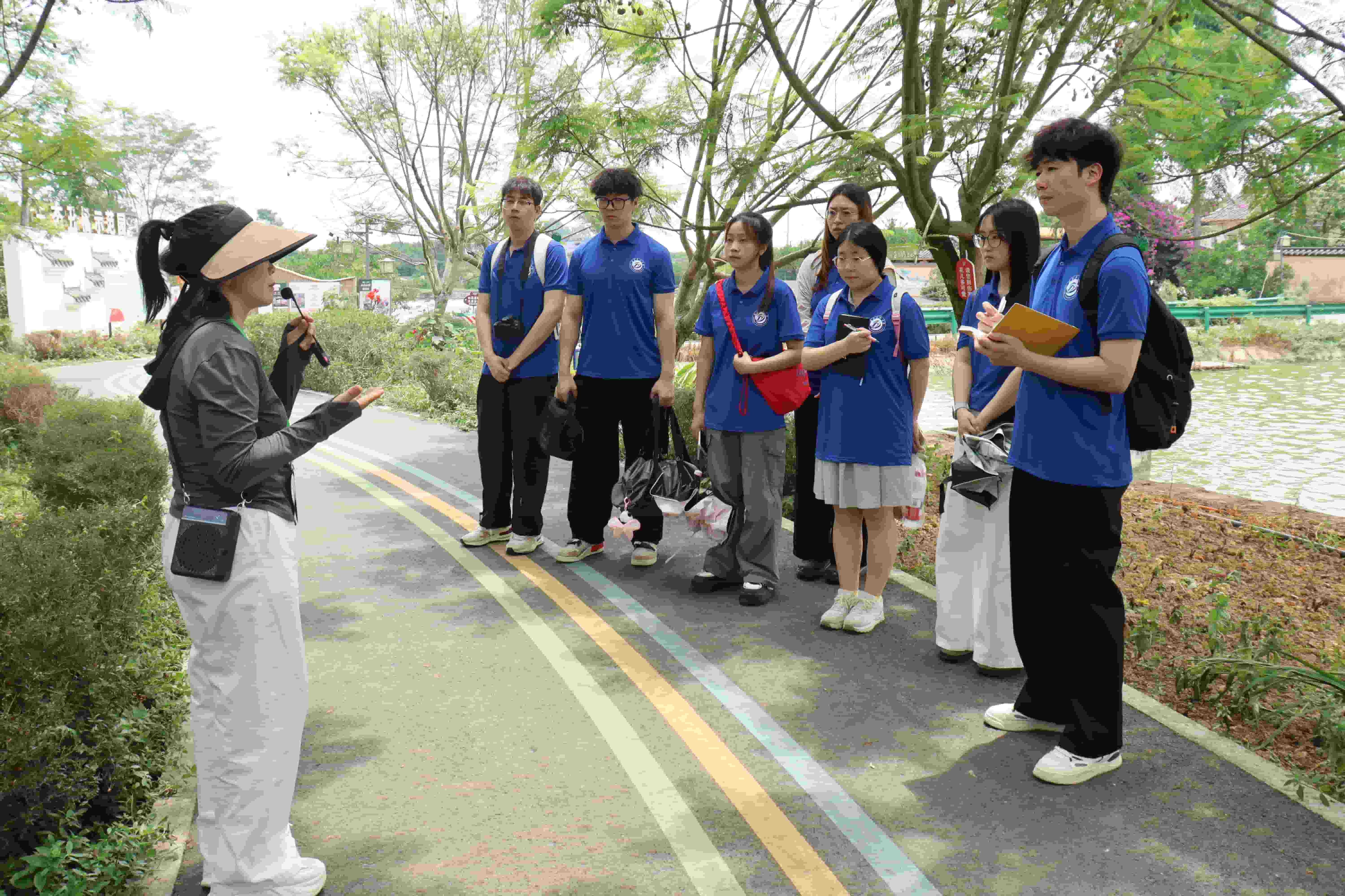 ����ʯ�ʹ�W�W�����M�Fţ�壬̽���l�����d�lչ֮·