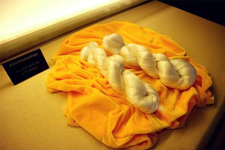 ݋��z�����N���z�I�����е�һ��