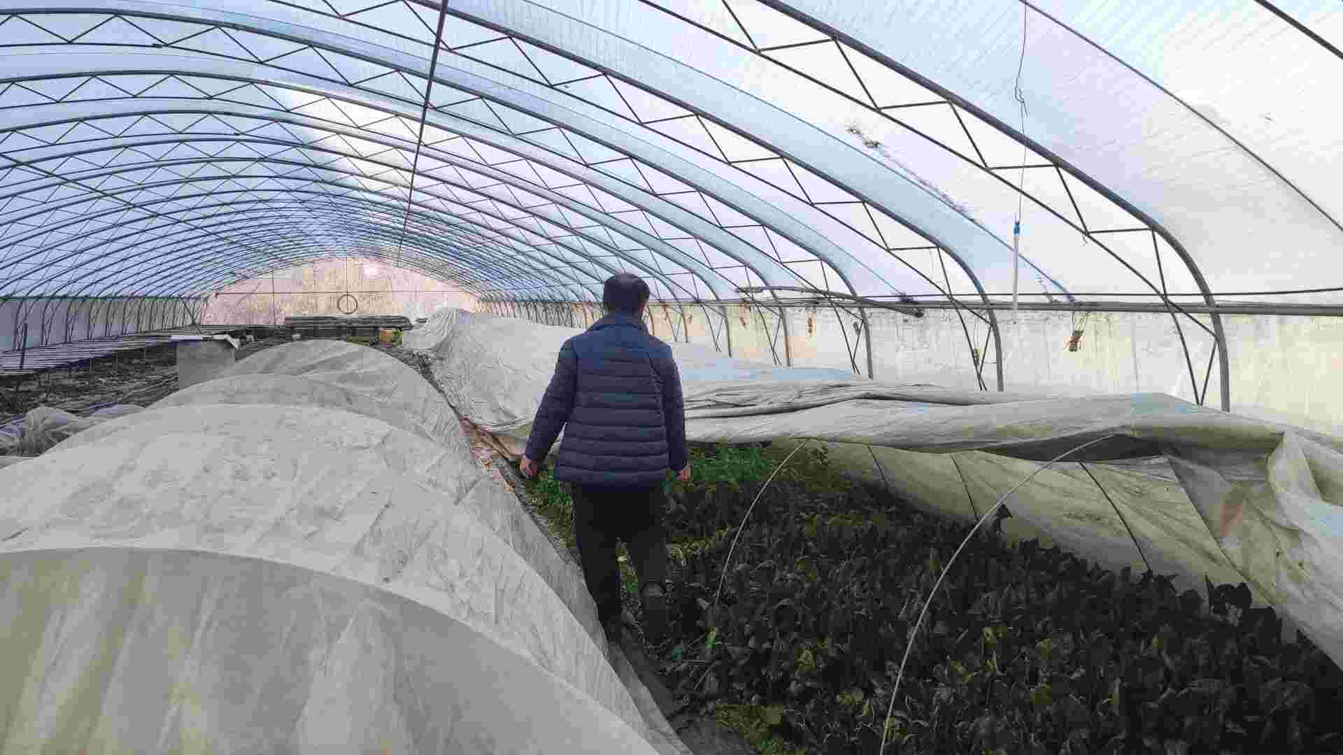 ���ഺ֮�����V���l��lչ��ƪ��