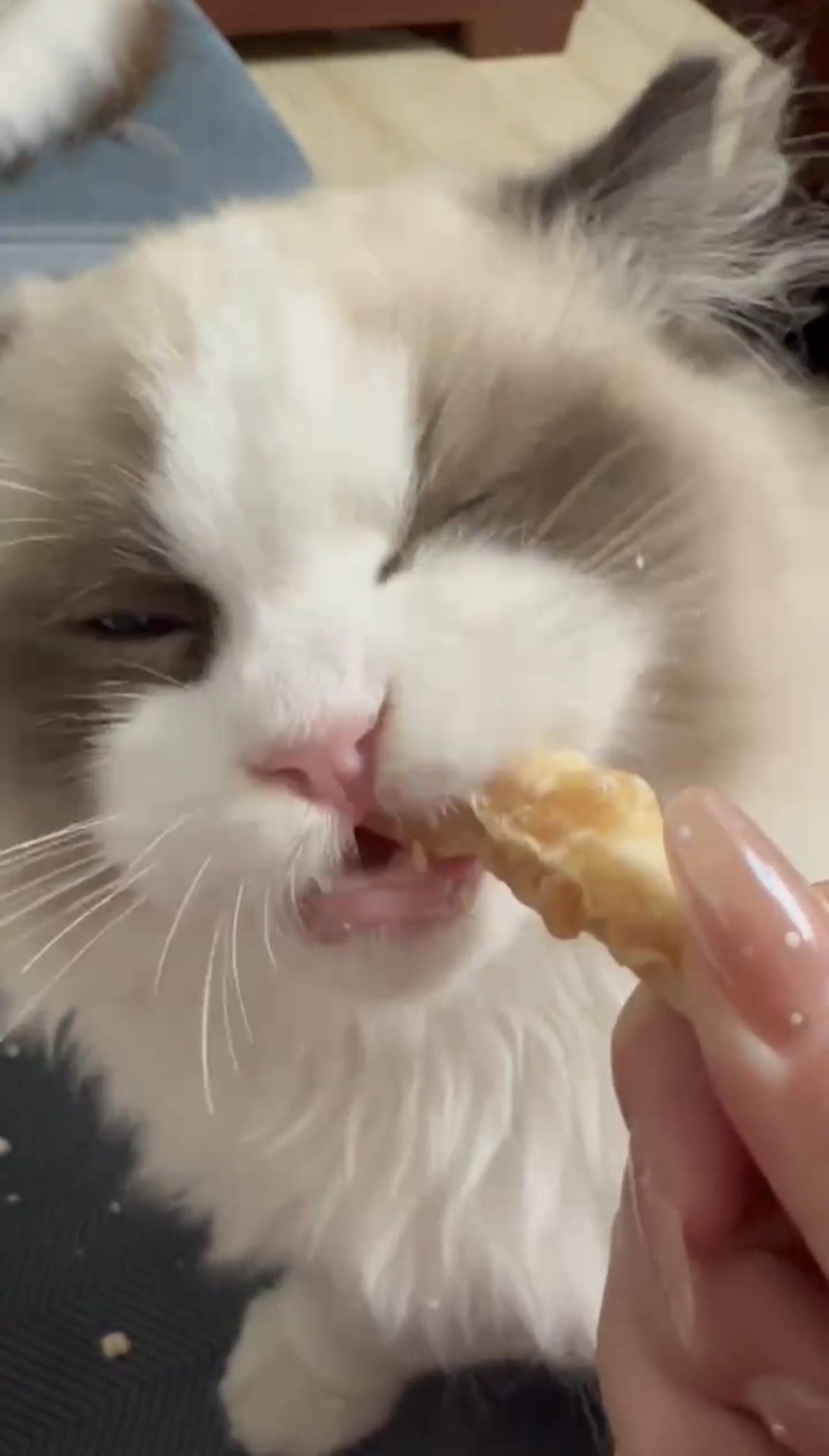 ������ɫ�ʣ�׌�۲����ˡ�������������`�P�����˄��﹫����