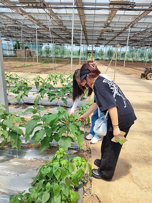 ����������W���r�L���{���---�۽��Gɫ���aģʽ���r�I�����l�����d