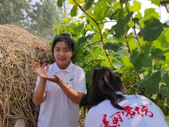 ���ݼ������b�I(y��)���g(sh��)�W(xu��)Ժ����(sh��)���{(di��o)���r(n��ng)�I(y��)�l(f��)չ��ֱ�������l(xi��ng)�����d