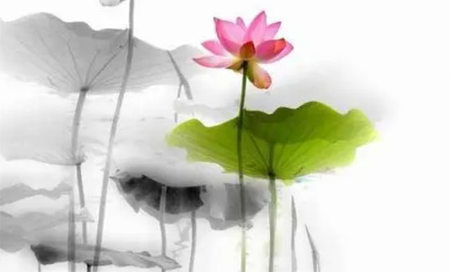 Ԋ��������ϻ����S��