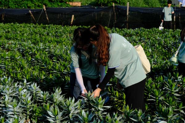 �Ƽ��x�ܸ��F���ߺ��l�����d