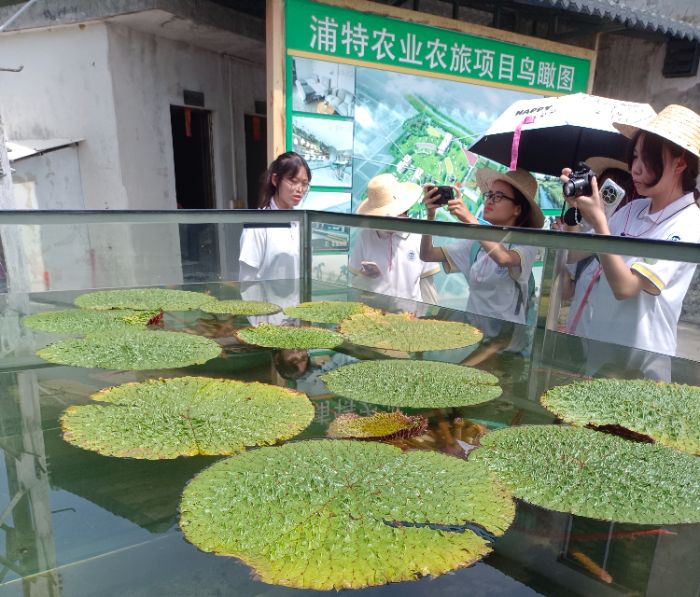 �ؑc�WԺ�W�������r�I�У��l����I�d�r·���ഺ�������d��