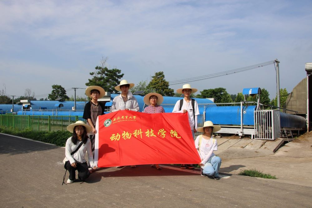 �ǻ��r�����dɽ����w�YԴ���o