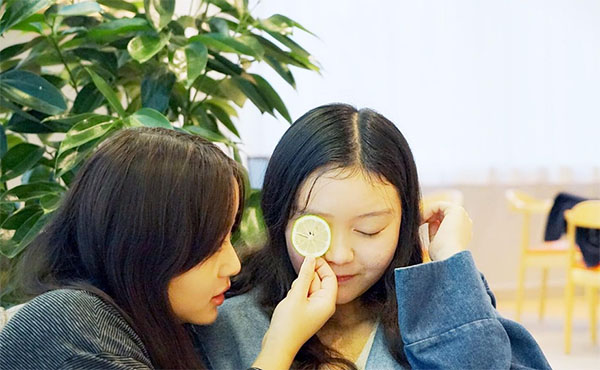 �����\�c������ ���@�������A��