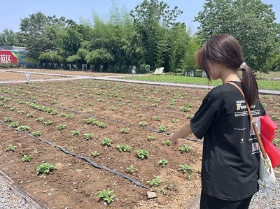 ̽�Gɫ�r�I֮·�����l�����d֮��