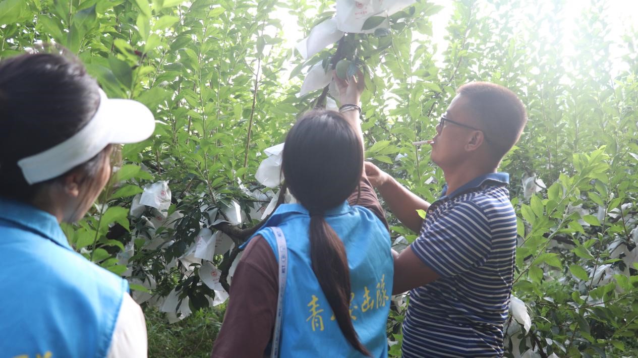 ̤�����֮�g���w��ɣ������