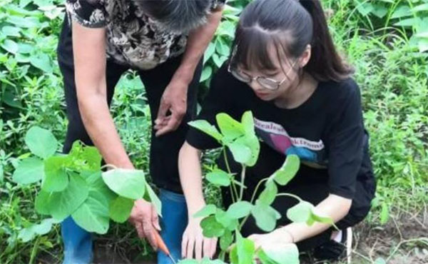 ���л����Ļ������`̽��δ��������ˮ�WԺ���`��ھ򡰄����r