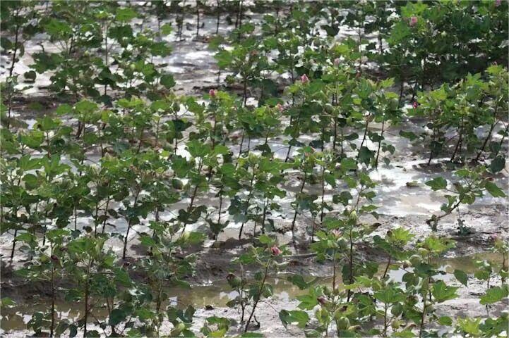 �ǻ���(sh��)�`С�(du��)����_չ��(sh��)���{(di��o)�л��(d��ng)