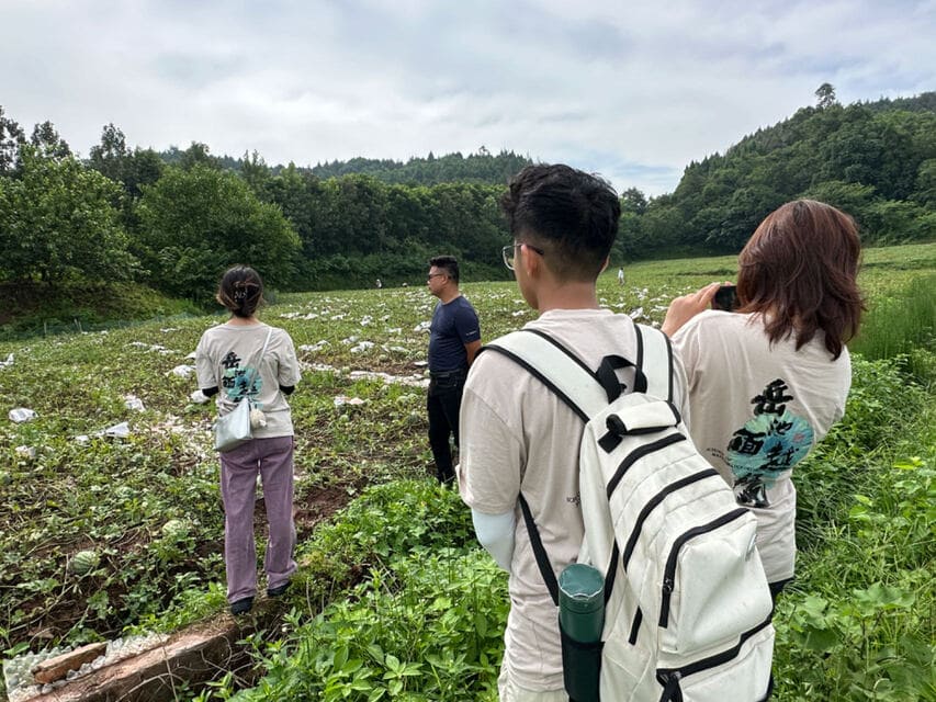 ����ϣ����Ұ�����d�lչ�y���ء����۽��a�I��������Ғ�̘I���