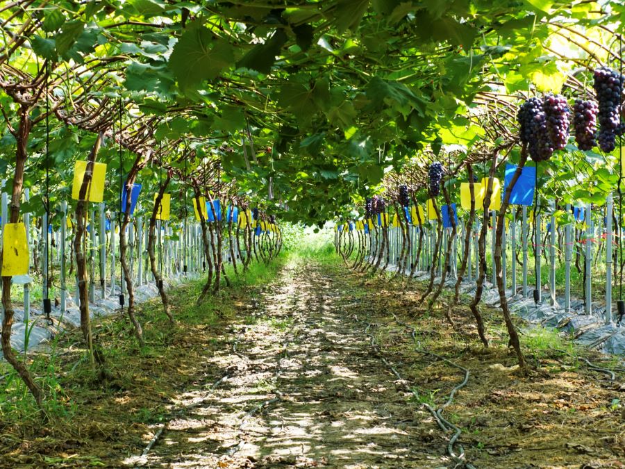 ���K��W���`�F���MС�������ܬF(xi��n)���r�I(y��)������Ҋ�C���������x��