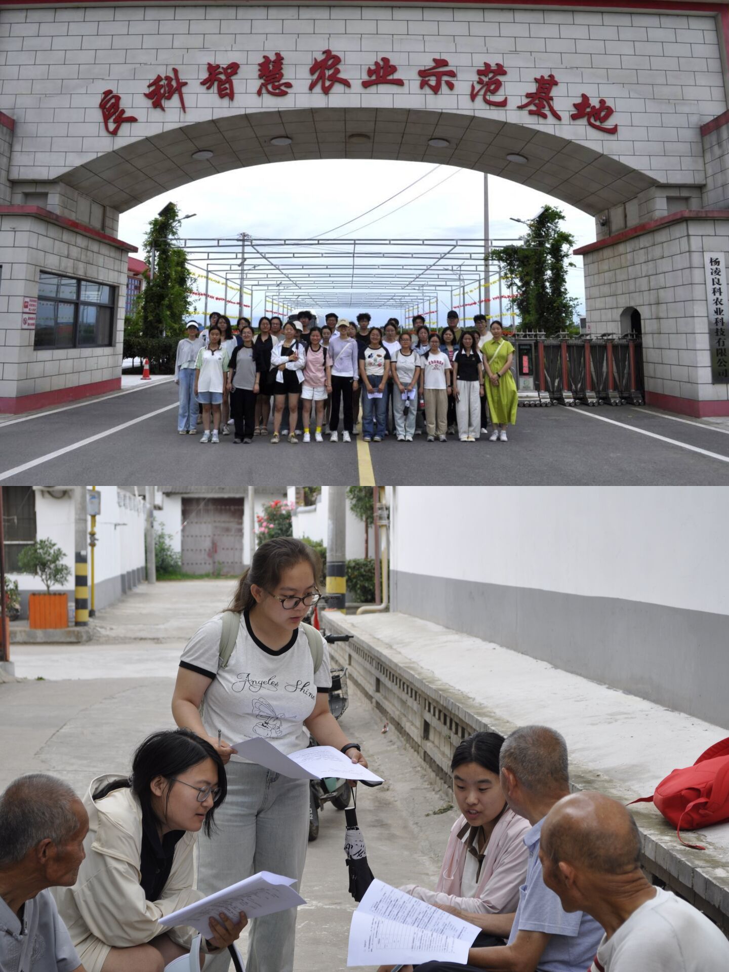 �ഺ�x�����d|�����r�ֿƼ���W�r�W���������Ĵ匍�`�{��