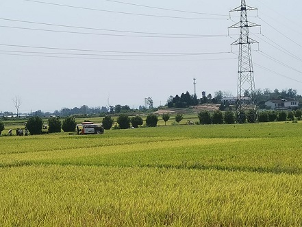 ���r���ս���n���ڄӽ���������