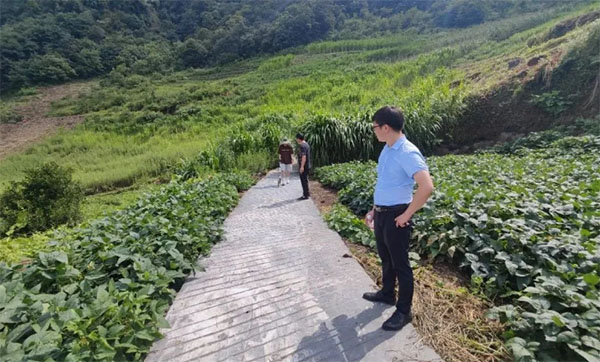 �����Ҋ�Cɽ�gС��׃���a(ch��n)�I(y��)����·