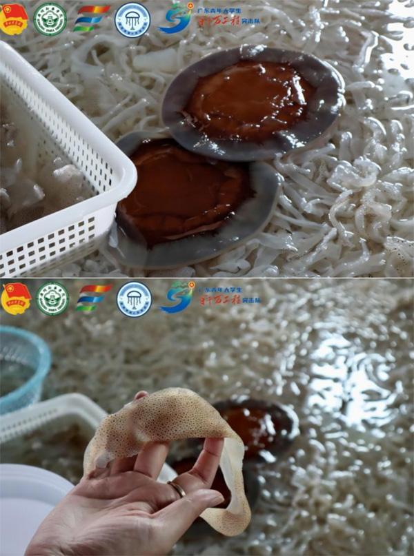 ��������ǧ�f���̡�Day2 | ̽�غ��ؼӹ��S��һ��ֱ���c�k�C�y�}�ƽ�