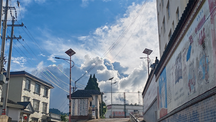 �ҵ��ഺСӛ������Ϫ�����W(xu��)Ժ����ֻ���䡱�l(xi��ng)�����d־Ը����(w��)�(du��)���(d��ng)����