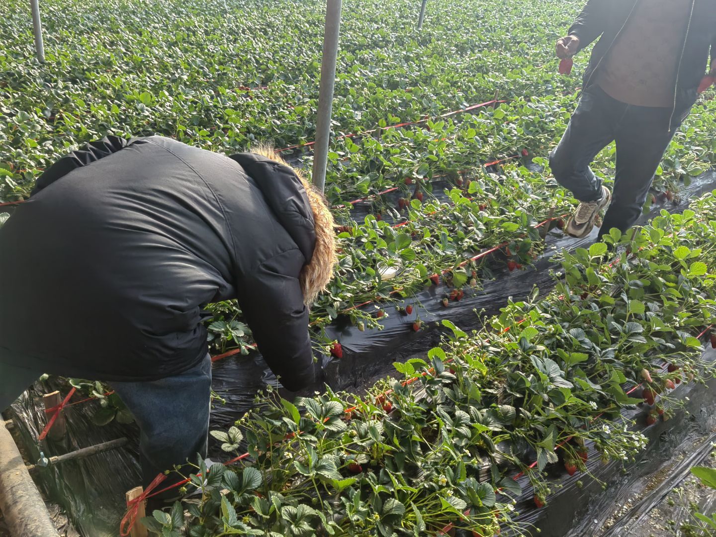 �ഺ�����l��·�����ý������d;