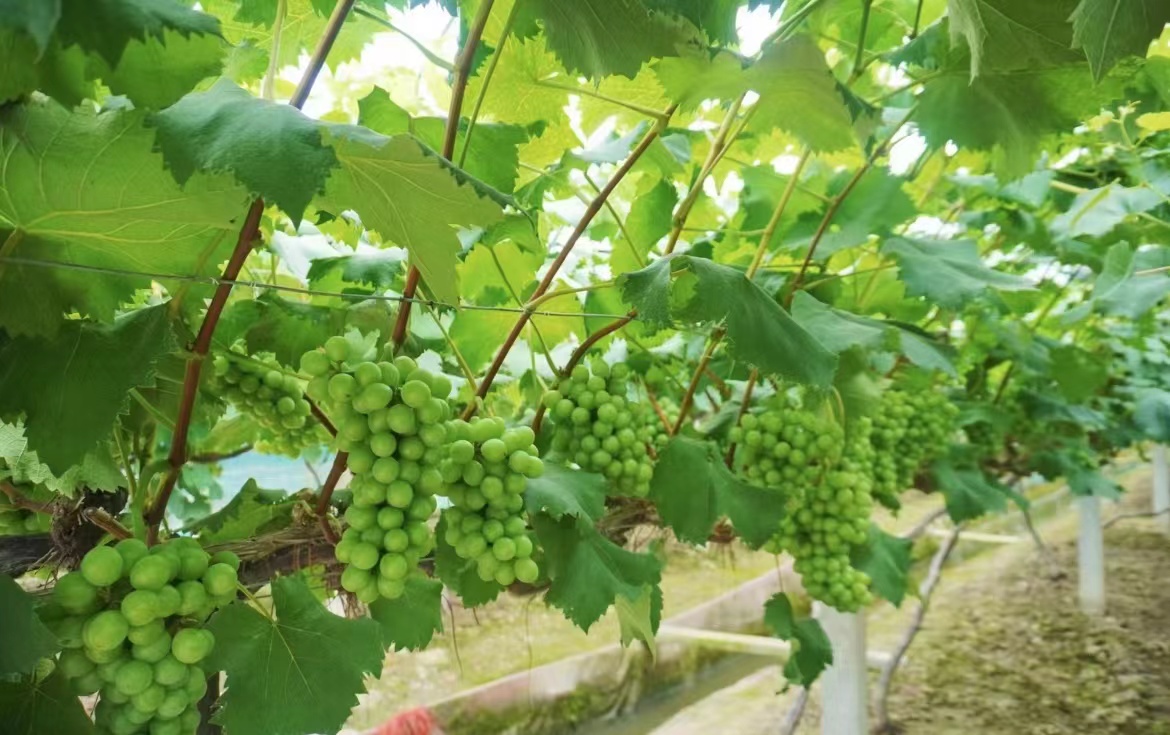 ����������W���]���l�خa�����l��lչ�����`�F����̽�L�Ϸ��д����