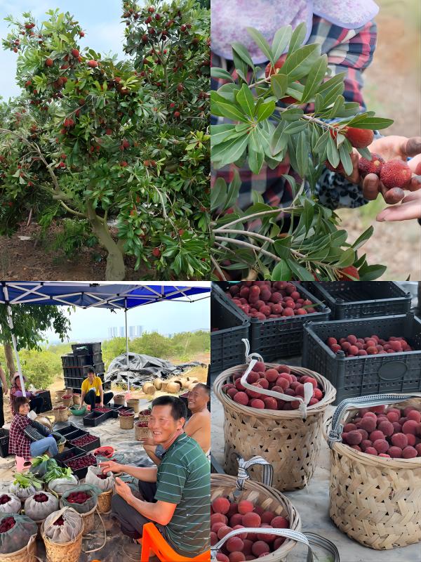 �B�T��W��ȫ���Ը�����÷�⡱����������`ꠣ� �쵽��÷