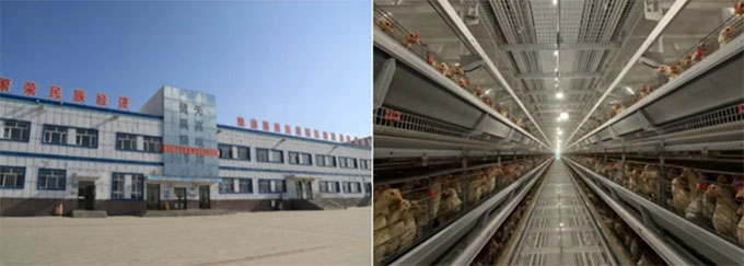 ��(chu��ng)���(q��)��(d��ng)�����I(l��ng)���r(n��ng)��(j��ng)��(j��)�Gɫѭ�h(hu��n)�°l(f��)չ