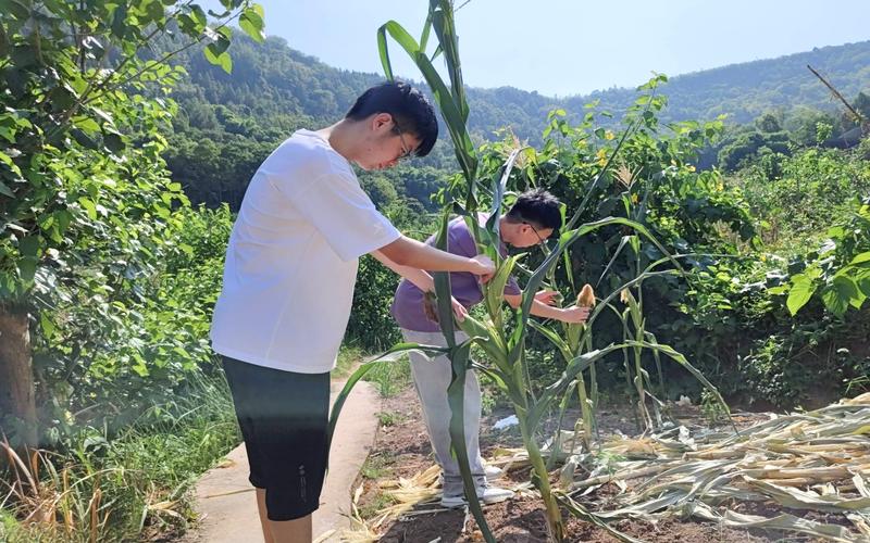 ����־������g���ഺ����(w��)ů����