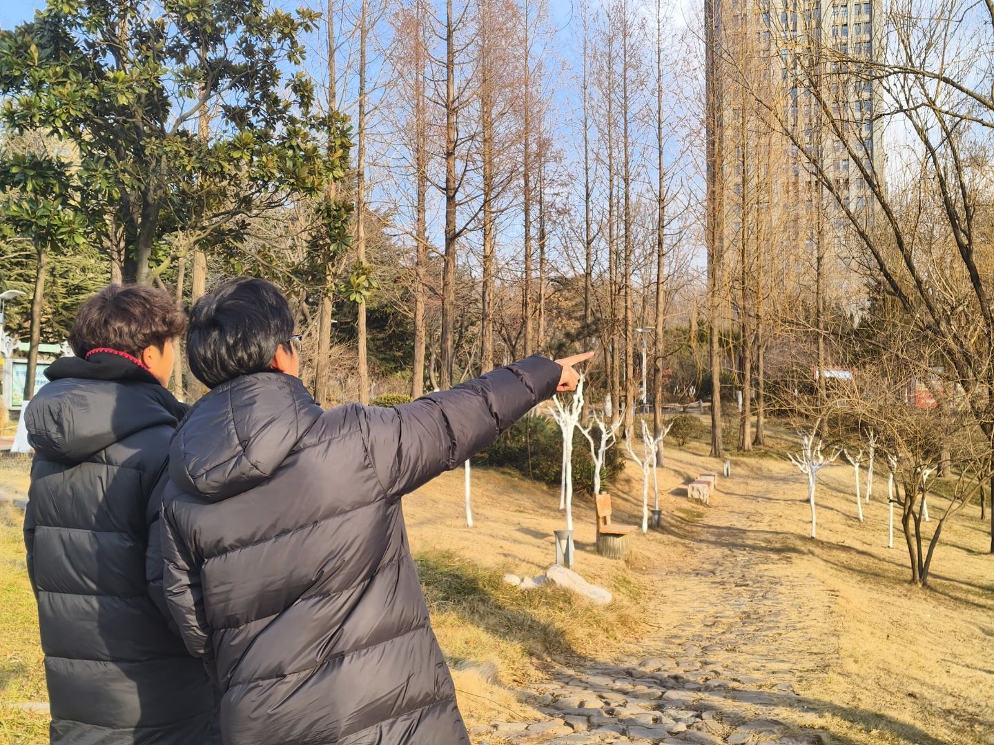 ���L�������ã�����̼����܇����