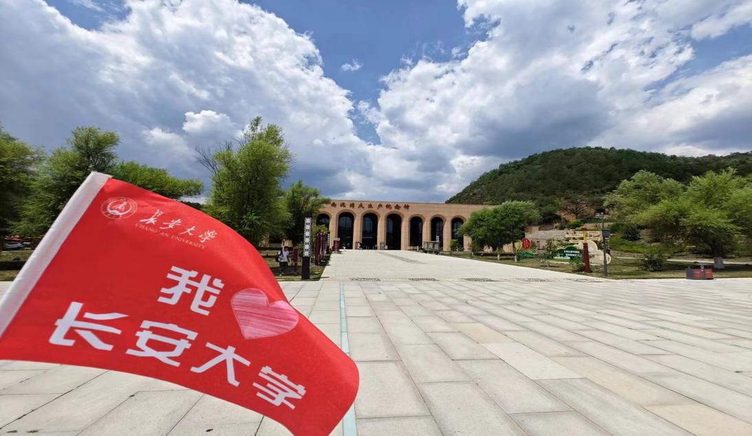 �D�������������a�o���^